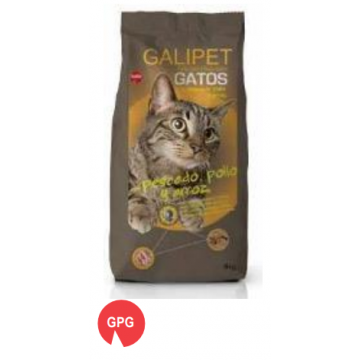 Petfood per gatti